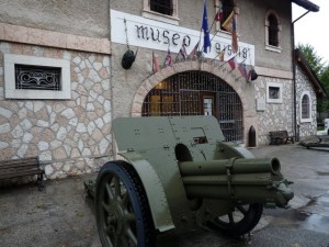 Museo Guerra Canove