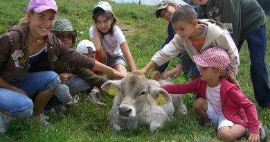 TOUR DELLE MALGHE con collaborazione con DESPAR