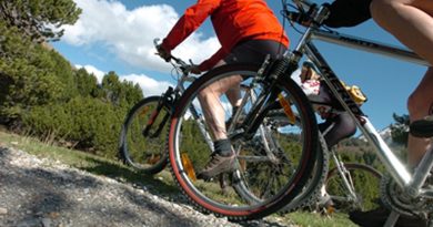 Itinerari Mountain Bike – GIRO DELLE MALGHE ASIAGO