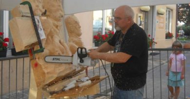 Concorso Internazionale Sculture Legno 2014 a Asiago