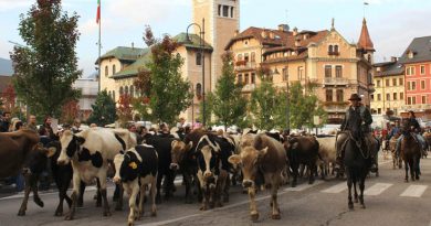 Tra poco arriva la transumanza