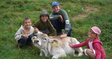 Giornata ad Asiago con il Tour delle Malghe – Tutti i sabati di settembre Giornata ad Asiago con il Tour delle Malghe – Tutti i sabati di settembre