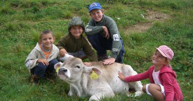 Giornata ad Asiago con il Tour delle Malghe – Tutti i sabati di settembre