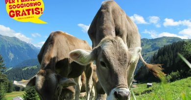 Offerta di Fine Agosto in Montagna