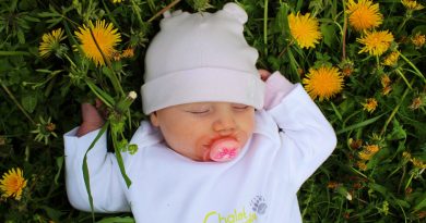 Noleggio zaini e passeggini – Altopiano di Asiago Noleggio zaini e passeggini – Altopiano di Asiago