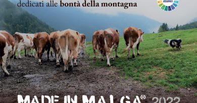 Made in Malga – 3/5 e 10/12 settembre 2022