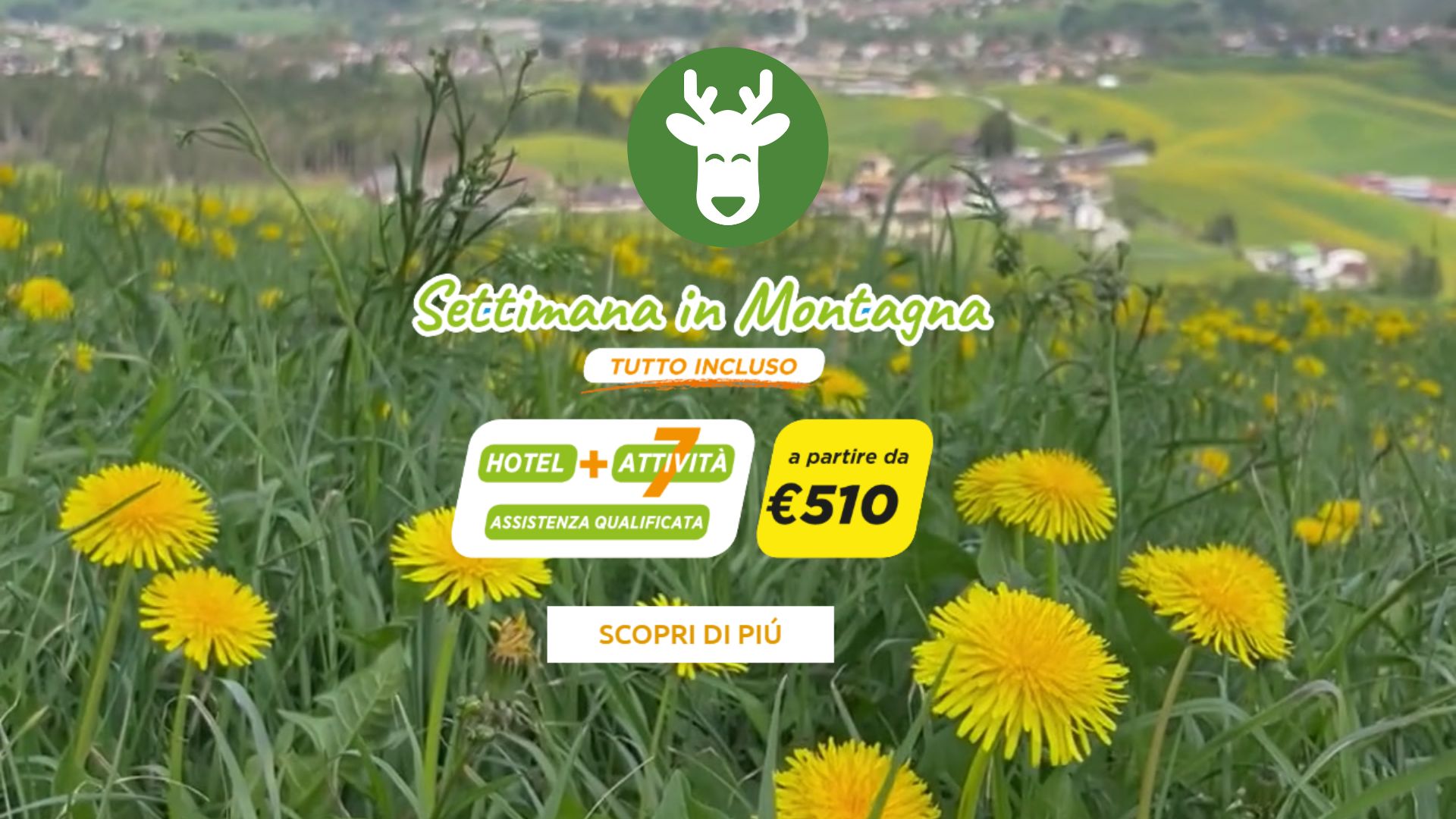 Offerta Asiagoestate Giugno in montagna