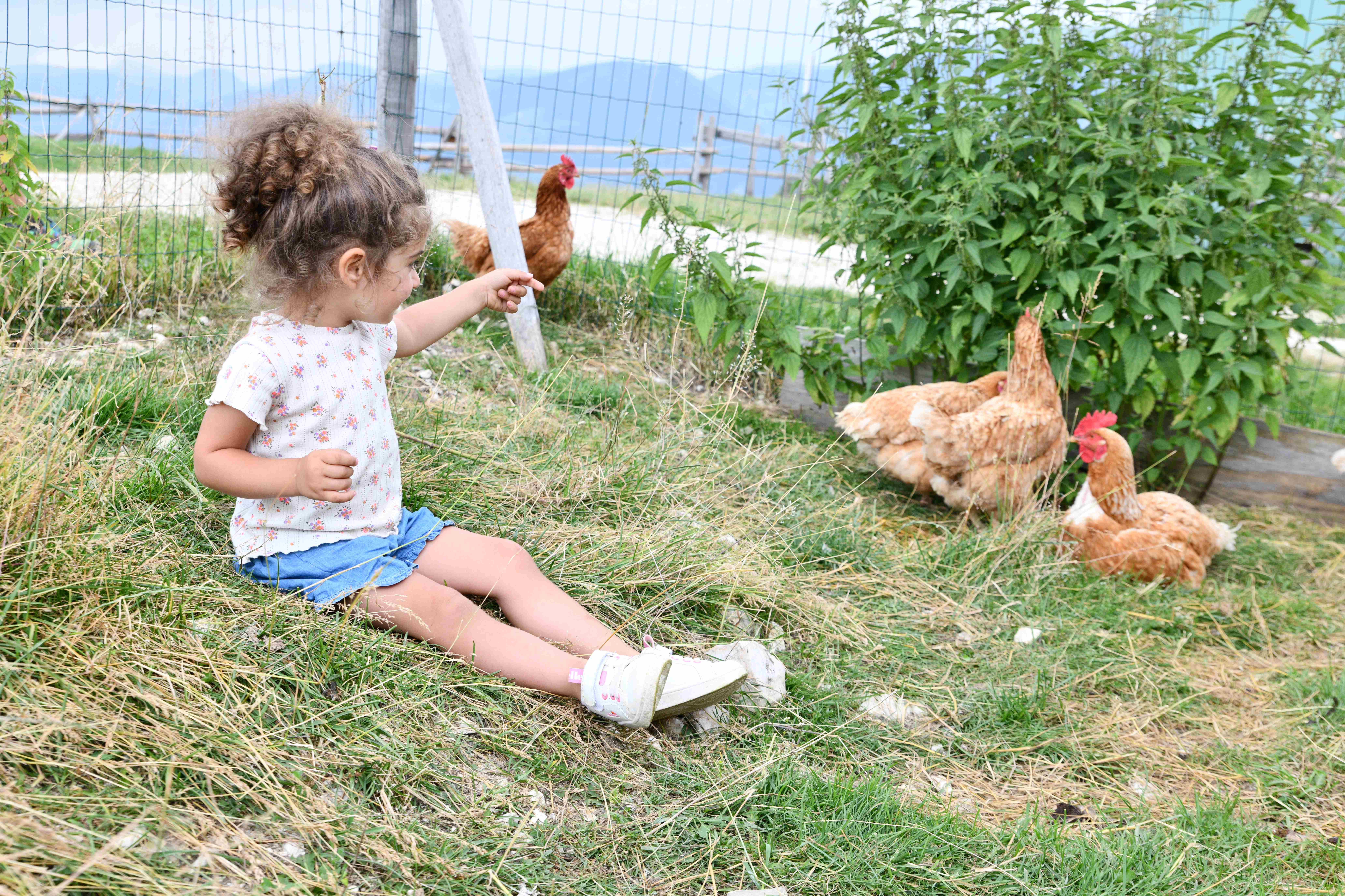 TMamma papà andiamo in montagna?