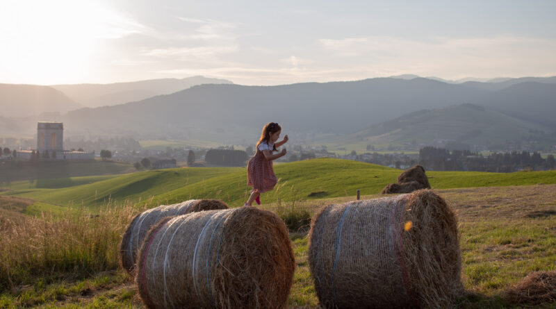 Agosto in montagna con Asiagoestate