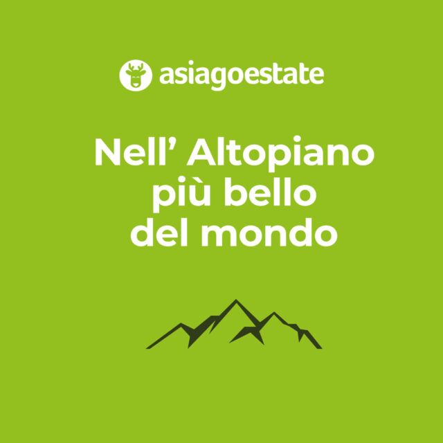 𝗟' 𝗔𝗹𝘁𝗼𝗽𝗶𝗮𝗻𝗼 𝗽𝗶ù 𝗯𝗲𝗹𝗹𝗼 𝗱𝗲𝗹 𝗺𝗼𝗻𝗱𝗼? Si, per noi è proprio così ! 
Con la nostra passione  faremo innamorare anche voi della natura e dei luoghi che l'Altopiano ci offre 🌲
Una terra felice, ricca di sole e gioia di vivere ☀🤩🌄

#Asiagoestate #Asiago #asiago7comuni #AltopianodiAsiago #VacanzainMontagna #vacanzeallinclusive #attivitàinmontagna #offertamontagna #offertavacanzamontagna #vacanzeperbambini #bimbiinmontagna #bambiniinmontagna #Montagna #Veneto #attivitàinmontagna
