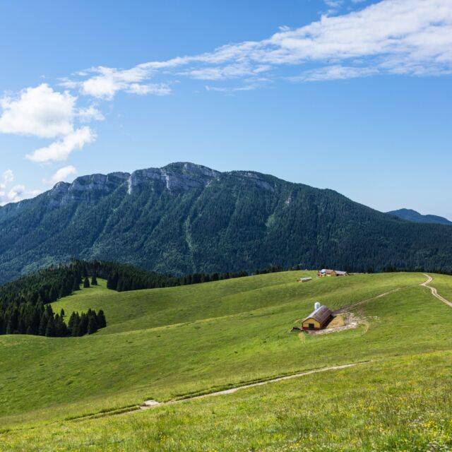 L’Altopiano di Asiago e dei Sette Comuni (Gallio, Roana, Rotzo, Conco, Lusiana, Foza, Enego), noto anche col nome di altopiano di Asiago dal nome del suo principale centro, è un vasto altopiano che si trova sulle Alpi vicentine al confine tra Veneto e Trentino Alto Adige.

#Asiagoestate #Asiago #asiago7comuni #AltopianodiAsiago #VacanzainMontagna #vacanzeallinclusive #attivitàinmontagna #offertamontagna #offertavacanzamontagna #vacanzeperbambini #bimbiinmontagna #bambiniinmontagna #Montagna #Veneto #attivitàinmontagna #estate2024